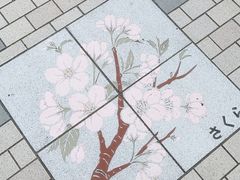 -台场海滨公园船码头