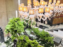 -华夏良子·足道SPA艾灸(翠微店)
