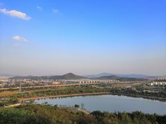 -羊山湖公园