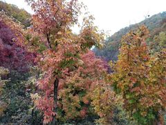 -丹东天桥沟景区