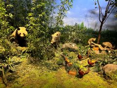 -陕西自然博物馆