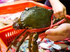 -巽寮印象美食部落餐厅·海鲜·地方特色菜(惠州体验店)