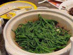 -食街•早茶•儿童套餐(长隆企鹅酒店)