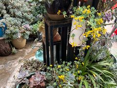 -龙翔小猪脚(龙头街店)