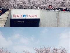 -龙美术馆(西岸馆)