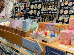 -猫的天空之城概念书店(苏州平江店)