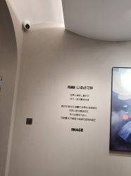 点击看大图 -大树儿童摄影