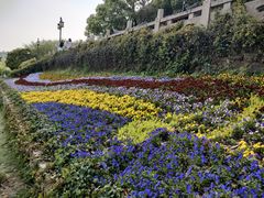 -苏州上方山国家森林公园