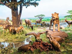 -国家自然博物馆