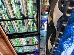 -圣罗巴海鲜自助(黑金店)