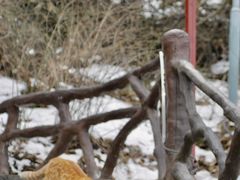 -终南山南五台景区