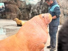 -新疆天山野生动物园