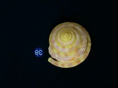 android_upload_pic-青岛贝壳博物馆