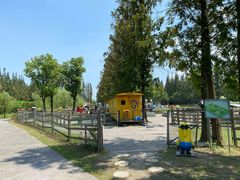 -前小桔亲子创意农场·草莓采摘·露营烧烤