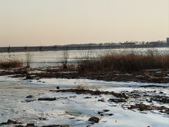 -绿堤公园
