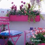 今日分享[礼花]为什么我要买顶楼？