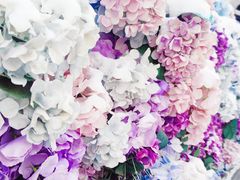 -小白楼1902欧式风情街