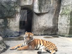 -南昌动物园
