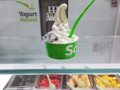 -Salud撒露欧洲冻酸奶(蓝色港湾店)