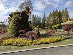 -东平国家森林公园