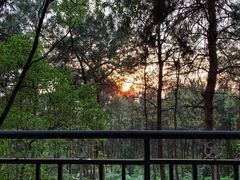 -铁山坪森林公园