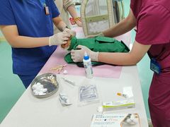 -北京观赏动物医院·24小时大型综合·猫专科·异宠专科