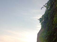 -北京中信金陵酒店