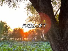 -玄武湖景区-情侣园游乐场