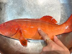 -阿毛饭店首店·宁波老字号(文化广场店)