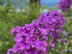 -丽江泸沽湖景区