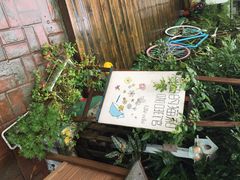 海边的猫和咖啡馆-海边的猫和咖啡馆