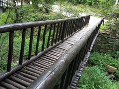 -天女山森林公园