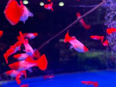 -三旗百汇商品城