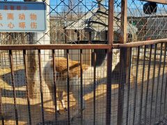 -河北村民俗体验园