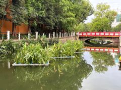 -兰溪青年公园