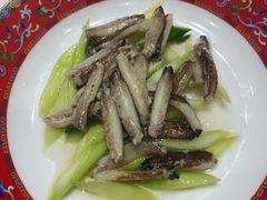 蟹柳芦笋-新光酒家·河豚·海鲜·蟹料理(浦东店)