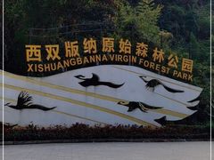 -西双版纳原始森林公园