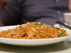 -南枝记