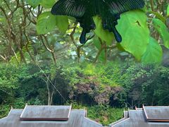 -野象谷景区