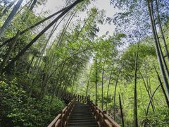 -宜春明月山维景国际温泉度假酒店