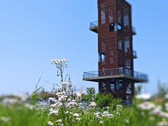 -春花秋色城市公园