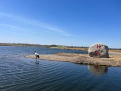 -黑龙江扎龙生态旅游区