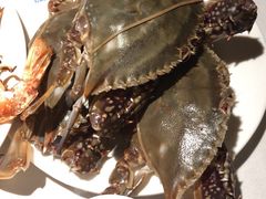 -星伦多自助料理(华润万象城店)