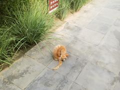 -李叔同故居纪念馆