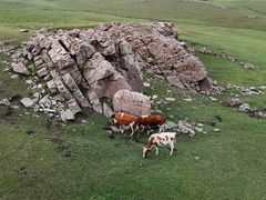 -敕勒川草原文化旅游区