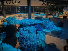 -中国（海南）南海博物馆