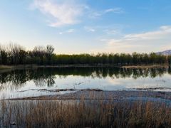 -野鸭湖国家湿地公园