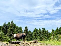 -萍乡武功山风景名胜区
