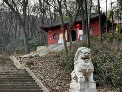 -南京老山国家森林公园