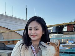 -喜柴咖啡·柴犬狗咖
